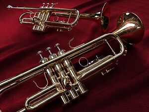 20165795424.jpg